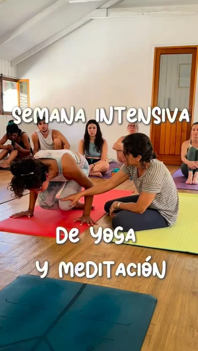 Abierto a todo nivel ✨ Semana Intensiva de Yoga & Meditación. Los espero para sumergirnos por 5 días en estas hermosas disciplinas en un contexto grupal, en verano, en nuestra escuela, con piscina y sobre todo, con muchas inspiración para comenzar este 2026 empapados con de conocimiento y herramientas ♥️
•
14 al 18 de Enero
En padma, nuestra escuela ubicada en Santiago, Chile
Detalles en info@padma.cl o déjanos un mensaje 👇🏽
Nos vemos!
•
•
•
#practicoenpadma #hathayoga #yoga #hatha #vinyasa #ashtangayoga #ashtanga #vinyasayoga #yogachile #clasesdeyoga #yogaespaña #yogamadrid #yogabarcelona #yogaargentina #yogamexico