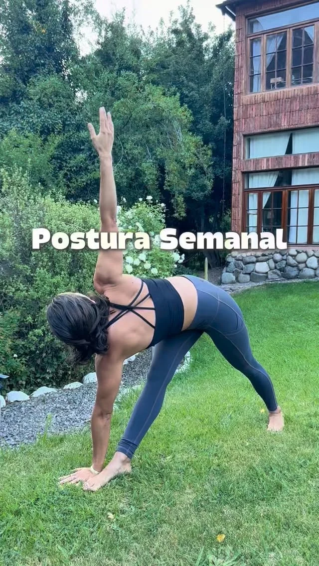 La postura de esta semana es Utthita Trikonasana y su segunda versión con torsión 💛 Les había comentado que cada semana iba a desglosar una postura de la primera serie de Ashtanga. Empezamos por los saludos al sol, la semana pasada fue padangusthasana y hoy le toca el turno a la siguiente! Lo que me gusta de estas posturas es que parecen “simples”! Pero lo simple no necesariamente es fácil 👀
•
•
•
#practicoenpadma #hathayoga #yoga #hatha #vinyasa #ashtanga #vinyasayoga #ashtangayoga #yogachile #clasesdeyoga #yogaespaña #yogamadrid #yogabarcelona #yogamexico #yogaargentina #utthitatrikonasana #trikonasana