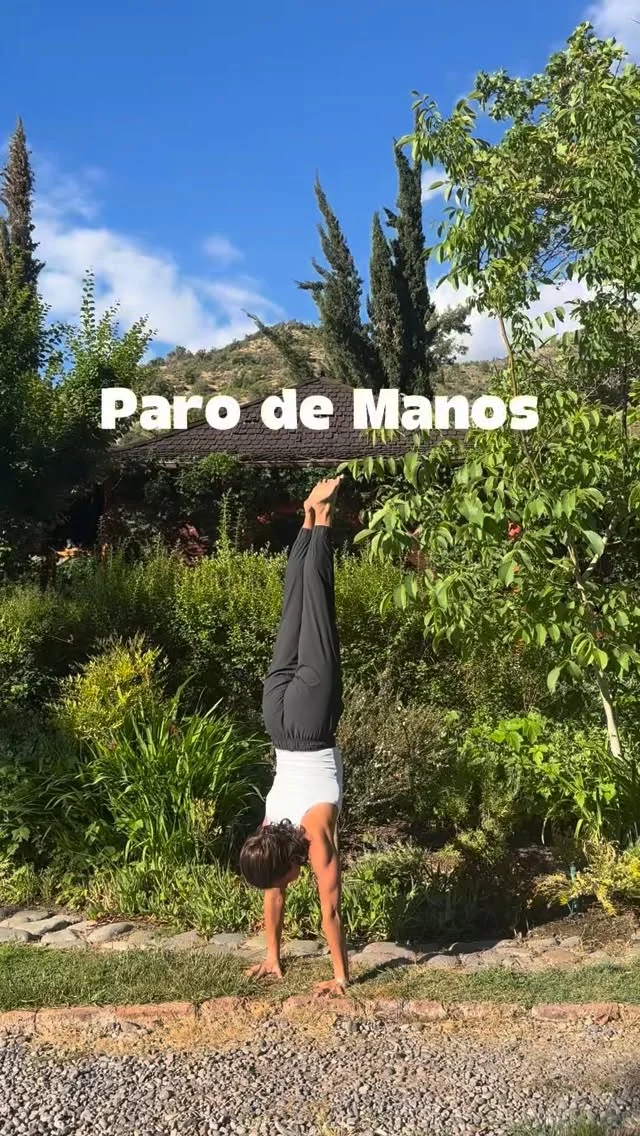 Dos consideraciones para el paro de manos sin impulso 💛 hombros y equilibrio, en el video los detalles 🙌 Espero que estén disfrutando el fin de semana, yo aquí recargando energía batería 🔋 antes de partir a Portugal en la naturaleza chilena, Chile tiene unos paisajes y lugares realmente alucinantes!! Nada como un baño de naturaleza 🍂 
•
•
•
#practicoenpadma #hathayoga #yoga #hatha #vinyasa #ashtanga #vinyasayoga #ashtangayoga #yogachile #clasesdeyoga #yogaespaña #yogamexico #yogamadrid #yogabarcelona #yogaargentina #handstand