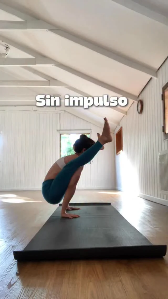 Hace 8 años atrás comencé a enseñarme a mi misma cómo subir desde tittibhasana al paro de manos 🙌 (amo los paros de manos en todas sus formas). Así que este es el video de mis primeros intentos con este paro de mano. Pronto les mostraré los tres tipos de paros de manos sin impulso que se pueden realizar desde Prasaritta Padottanasana.
•
•
•
#practicoenpadma #hathayoga #yoga #hatha #vinyasa #ashtanga #vinyasayoga #ashtangayoga #yogachile #clasesdeyoga #handstand #yogaespaña #yogamadrid #yogabarcelona #yogaportugal #yogamexico #yogaargentina